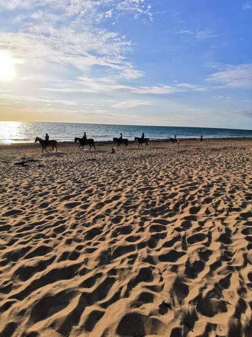 Studio De La Mer A Donville Les Bains المظهر الخارجي الصورة