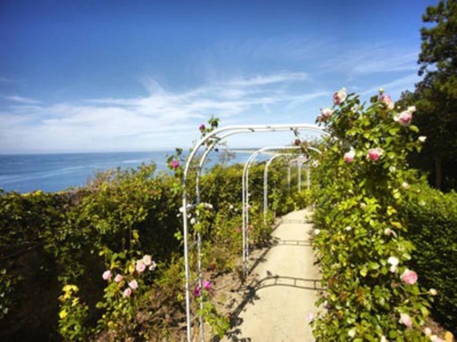 Studio De La Mer A Donville Les Bains المظهر الخارجي الصورة